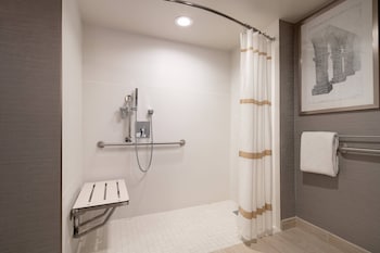 Room, 1 King Bed (Mobility Accessible, Roll-In Shower)