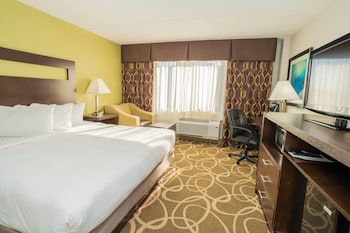 Room, 1 King Bed, Non Smoking (Pet-Friendly)