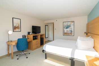 Deluxe Room, 1 King Bed, Non Smoking