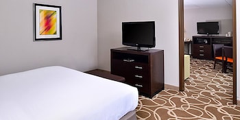 Room, 1 King Bed, Non Smoking (Pet-Friendly)