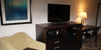 Room, 1 King Bed, Non Smoking (Pet-Friendly)