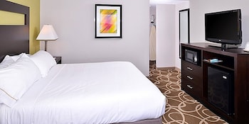 Room, 1 King Bed, Accessible, Non Smoking (Mobility/Hearing, Tub w/ Grab Bars)