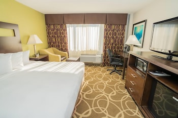 Room, 1 King Bed, Non Smoking (Pet-Friendly)