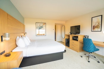 Deluxe Room, 1 King Bed, Non Smoking