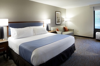 Suite, 1 King Bed, Non Smoking