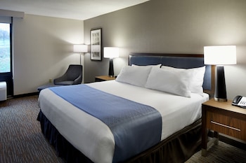 Room, 1 King Bed, Non Smoking