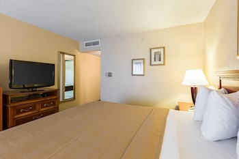 Room, 1 King Bed, Non Smoking