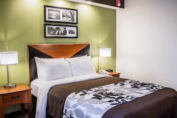 Room, 1 Double Bed, Accessible, Non Smoking
