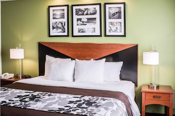 Standard Room, 1 King Bed, Non Smoking