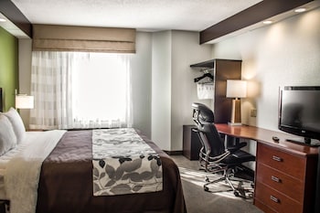 Standard Room, 1 King Bed, Non Smoking