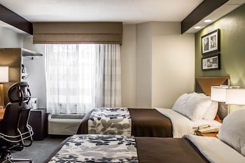 Standard Room, 2 Double Beds, Non Smoking