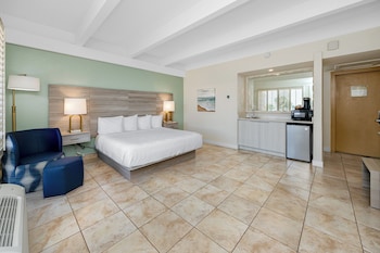 Standard Room, 1 King Bed, Non Smoking, Refrigerator & Microwave (Larger Room)