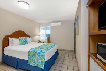Room, 1 Queen Bed, Accessible