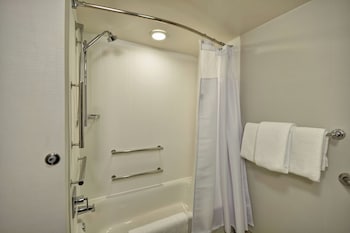 Room, 1 King Bed with Sofa bed, Roll-in Shower