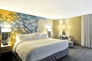 Room, 1 Queen Bed, Accessible Bathtub