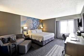 Room, 1 King Bed with Sofa bed, Roll-in Shower