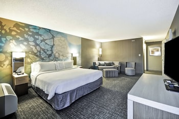 Suite, 1 Bedroom, Hearing Accessible