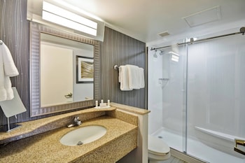 Room, 1 King Bed with Sofa bed, Roll-in Shower