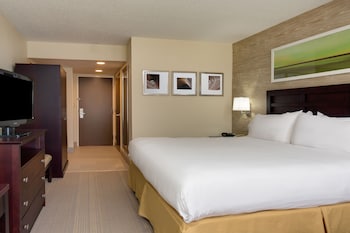 Standard Room, 1 King Bed, Accessible (Communications, Mobility, Access Tub)