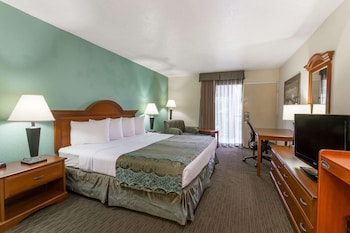 Suite, 1 King Bed, Non Smoking (One-Bedroom)