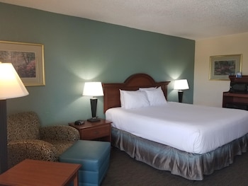 Standard Room, 1 King Bed, Non Smoking