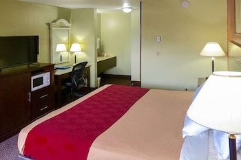 Standard Room, 1 King Bed, Non Smoking
