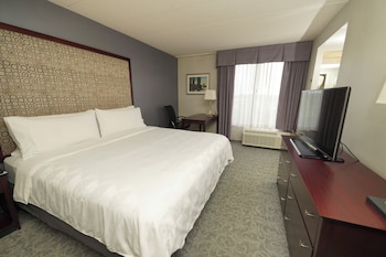 Suite, 1 King Bed