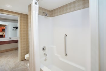Standard Room, 1 King Bed, Accessible (Mobility, Roll-In Shower)