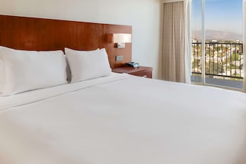 Superior Suite, One King Bed