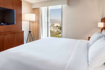 Deluxe, One King Bed, Mountain View