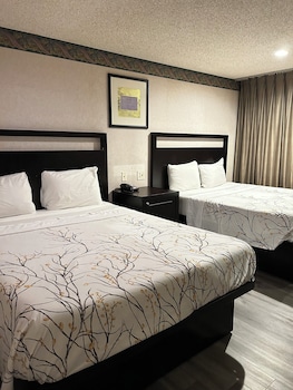Standard Double Room, 2 Queen Beds, Non Smoking