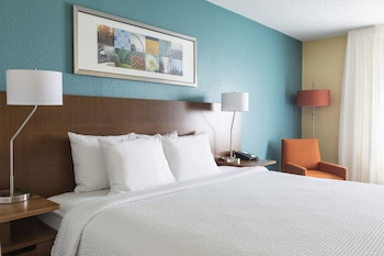 Executive Suite, 1 King Bed with Sofa bed