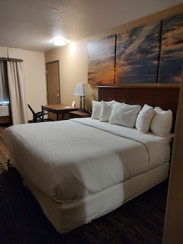 Room, 1 King Bed, Non Smoking