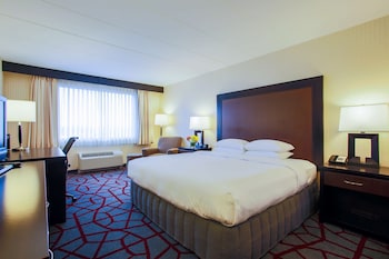 Room, 1 King Bed, Accessible, Non Smoking