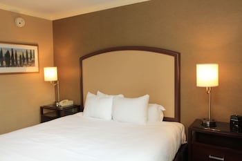 Room, 1 King Bed (City View)