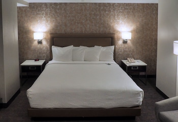 Room, 1 King Bed