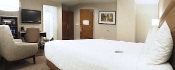 Room, 1 Queen Bed