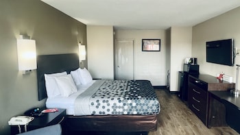 Standard Room, 1 Queen Bed, Non Smoking