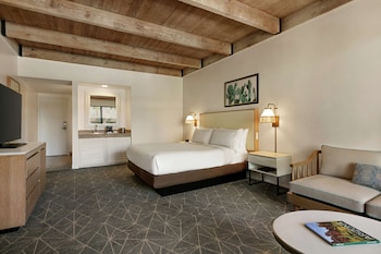 Suite, 1 King Bed