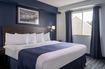 Room, 1 King Bed, Accessible, Non Smoking