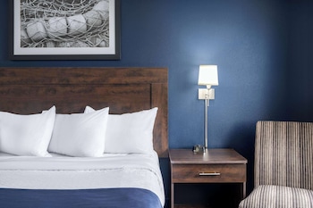 Room, 1 King Bed, Accessible, Non Smoking
