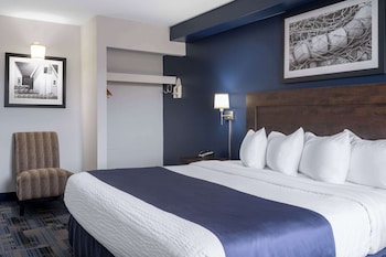 Room, 1 King Bed, Accessible, Non Smoking