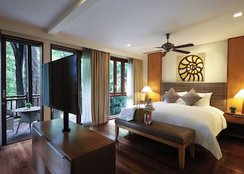 Rainforest Studio