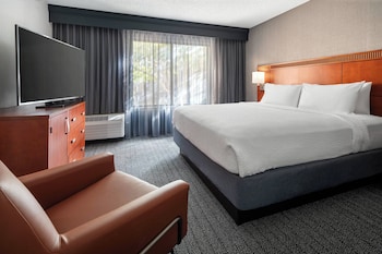 Suite, 1 Bedroom (Hearing Accessible)
