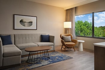 Suite, 1 King Bed, Bathtub