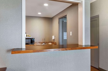 Suite, 1 King Bed, Non Smoking, Kitchenette (Living Room;with Sofabed)