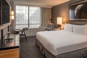 Room, 1 King Bed, Accessible, Corner (Roll-In Shower)