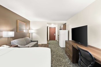 Standard Room, 1 King Bed, Non Smoking, Refrigerator & Microwave