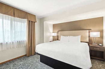 Standard Room, 1 King Bed, Non Smoking, Refrigerator & Microwave