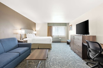 Standard Room, 1 King Bed, Accessible, Bathtub (with Sofabed)